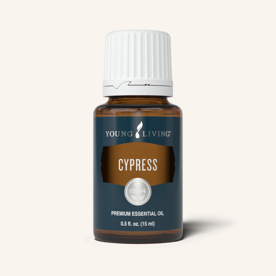 Cypress Essential Oil